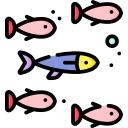 fisch