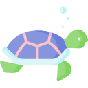 tortuga