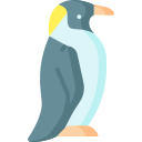 pingüino 