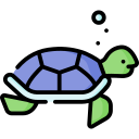 tortuga 