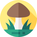 champiñón icon