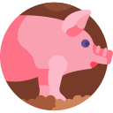 cerdo icon