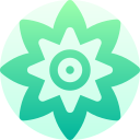 mándala icon