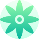 mándala icon