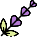 lavanda