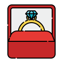 caja del anillo icon