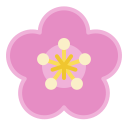 sakura icon