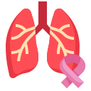 pulmones icon