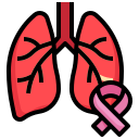 pulmones icon