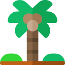 Árbol de coco icon