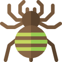 araña icon