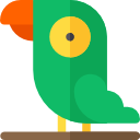 papagaio 