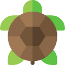 tortuga icon