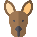 canguro icon