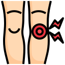 rodilla icon