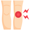 rodilla icon