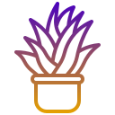 aloe vera icon