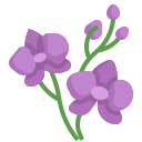 Orchid icon