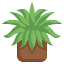 planta araña icon