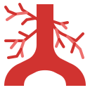 artería icon