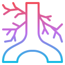 artería icon