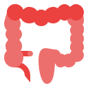 colon icon