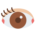 ojo icon