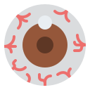 globo ocular icon