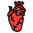 corazón icon