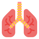 pulmones icon