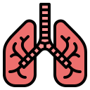 pulmones icon