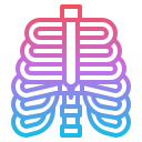 caja torácica icon