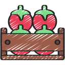 tomate icon