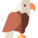 Águila