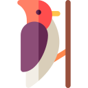 pájaro carpintero icon