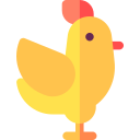 pollo 