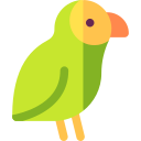 kakapo