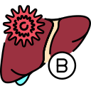 hepatitis b 