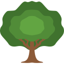 Árbol icon