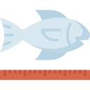 측정하다 