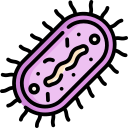 bacterias icon