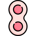 mitosis icon