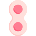 mitosis icon