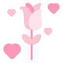 rosa icon