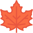 Maple leaf 