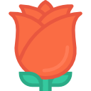 rosa icon