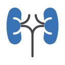 pulmones 