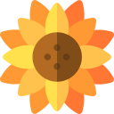 diseño floral 