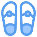 chanclas icon