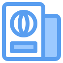 pasaporte icon